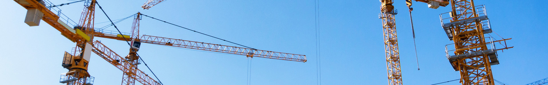 Slewing Cranes