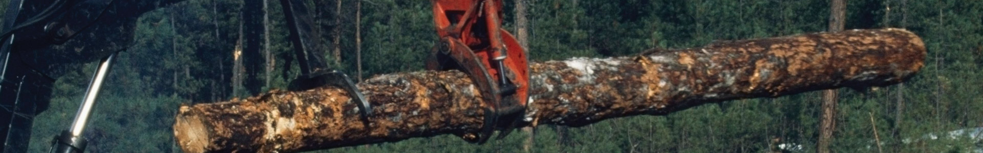 Logging Machines